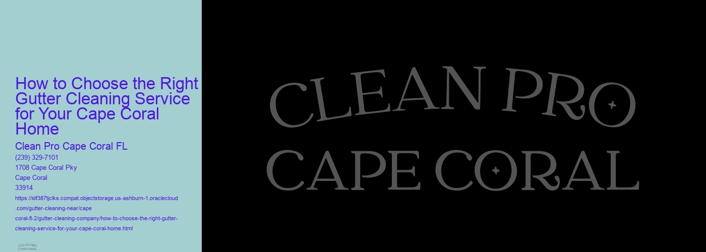 How to Choose the Right Gutter Cleaning Service for Your Cape Coral Home 